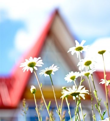 The Pinnacles Suites - Special Offers